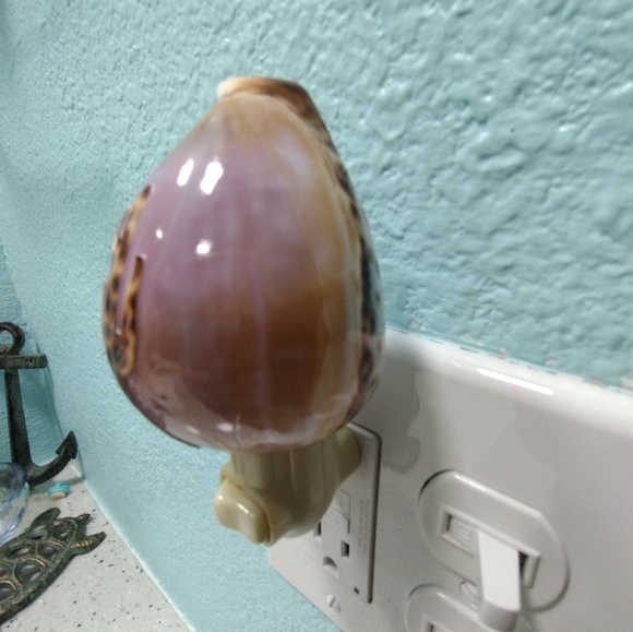 Carved Tiger Cowrie Cactus Night Light - Picture 4 of 9
